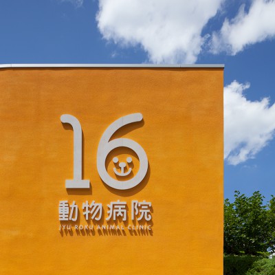 16動物病院