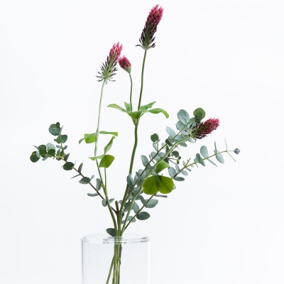 アクリルハーブベース